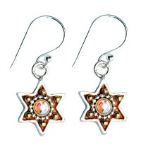 Enamel Star of David Earrings - Bronze 